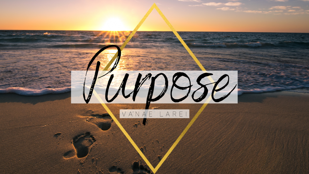 VNLR Purpose