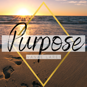 VNLR Purpose